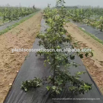 tela de la cerca del limo del control de la erosión